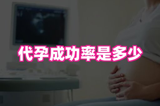 生殖助孕网站 2