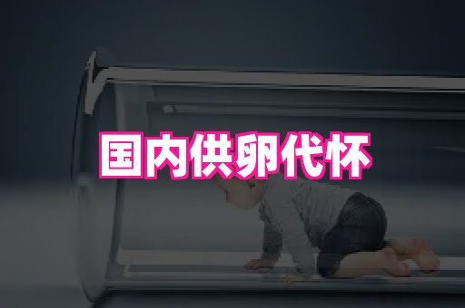 生殖助孕网站 3